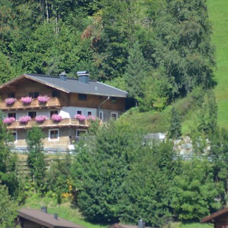 Ferienhaus Rieder Wald im Pinzgau Dış mekan fotoğraf