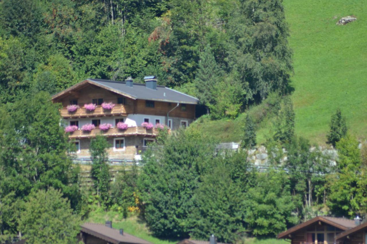 Ferienhaus Rieder Wald im Pinzgau Dış mekan fotoğraf